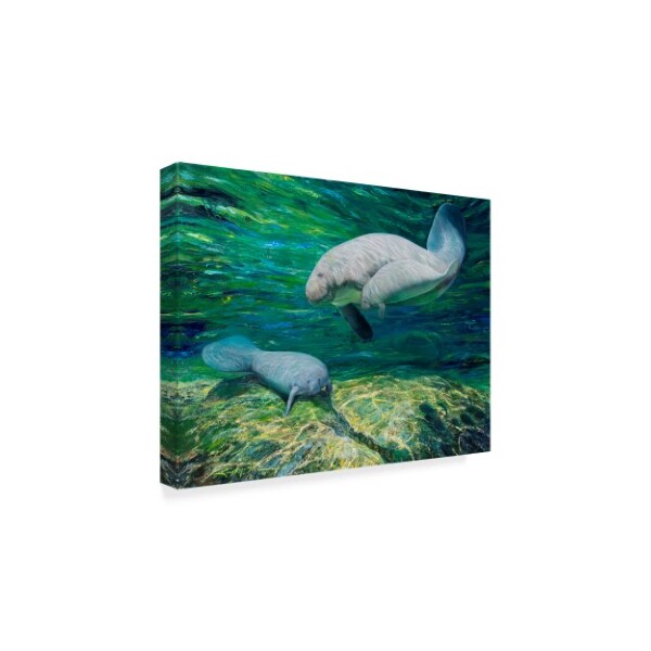 Lucy P. Mctier 'Crystal River Manatee' Canvas Art,14x19